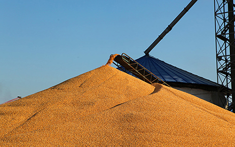 供应链(贸易)(图7)